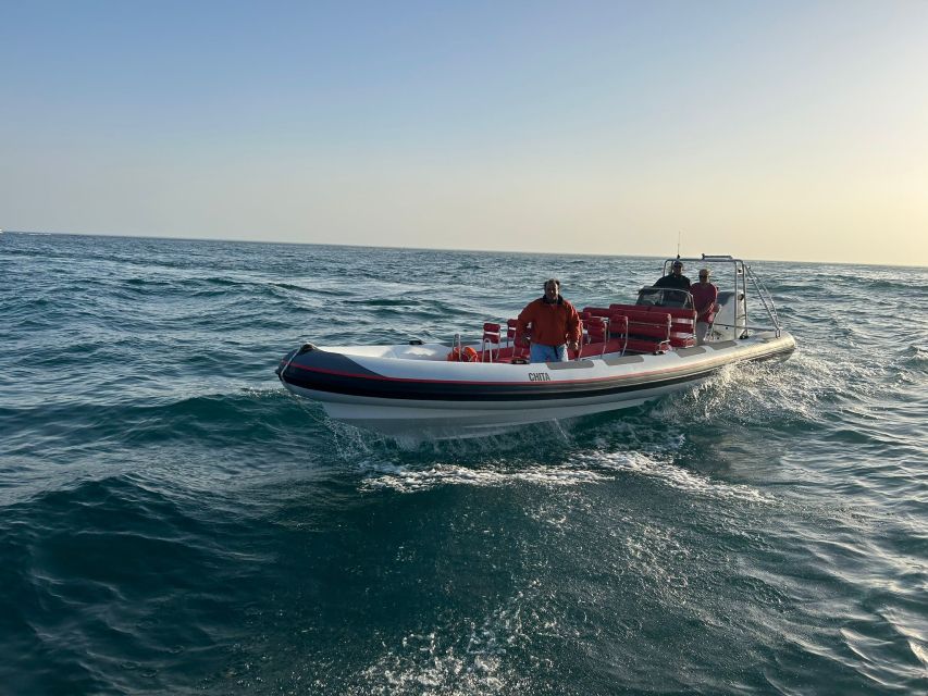 Quarteira: Algarve Coast, Caves and Dolphin Watching Cruise - Who will enjoy this two-hour outing