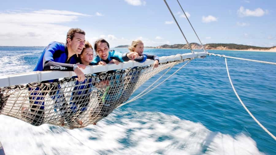 Queenscliff Harbour: 3.5hr Seal & Dolphin Snorkelling Tour - From Queenscliff Harbour to Popes Eye
