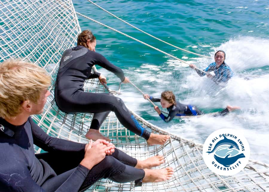 Queenscliff Harbour: 3.5hr Seal & Dolphin Snorkelling Tour - What the crew adds to the experience