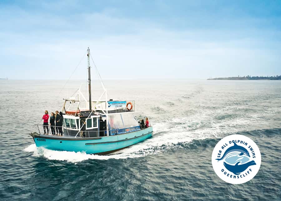Queenscliff Harbour: 3.5hr Seal & Dolphin Snorkelling Tour - Equipment, changing, and comfort