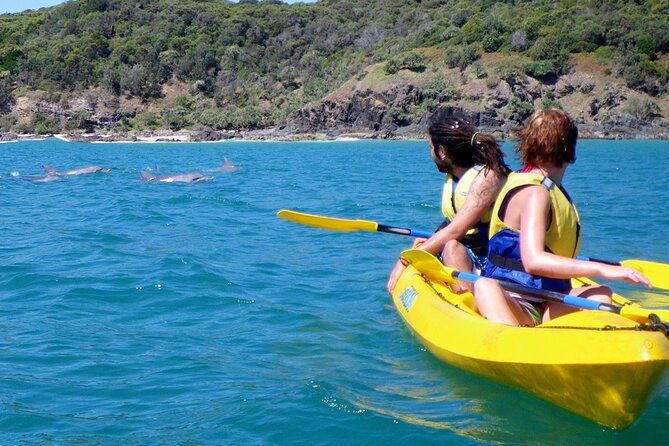 Rainbow Beach: Dolphin & Wildlife Ocean Kayak & Beach 4WD Tour - Why the 4WD ride is part of the attraction