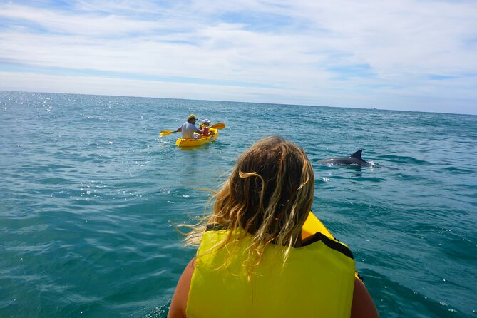 Rainbow Beach: Dolphin & Wildlife Ocean Kayak & Beach 4WD Tour - The guides make the difference