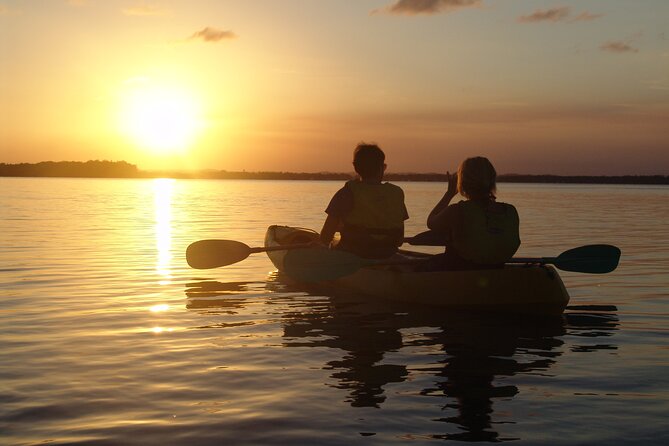 Rainbow Beach: Dolphin & Wildlife Ocean Kayak & Beach 4WD Tour - Who should book this Rainbow Beach outing