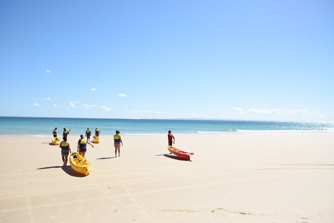 Rainbow Beach: Dolphin & Wildlife Ocean Kayak & Beach 4WD Tour - What you may see from the kayak