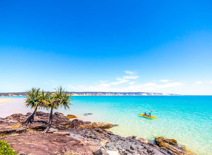Rainbow Beach: Kayaking with Dolphins and Beach 4WD Tour - Looking for dolphins, turtles, and whales
