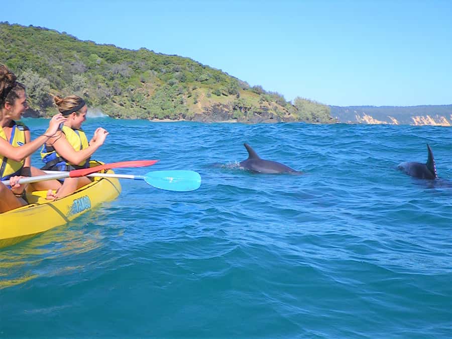 Rainbow Beach: Kayaking with Dolphins and Beach 4WD Tour - The Great Sandy National Park 4WD ride