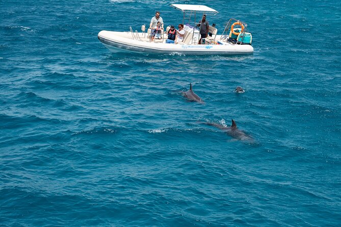 Red Sea Wonders Dolphin House Snorkeling Cruise & Lunch_ Hurghada - Lunch on the boat, with soft drinks through the day