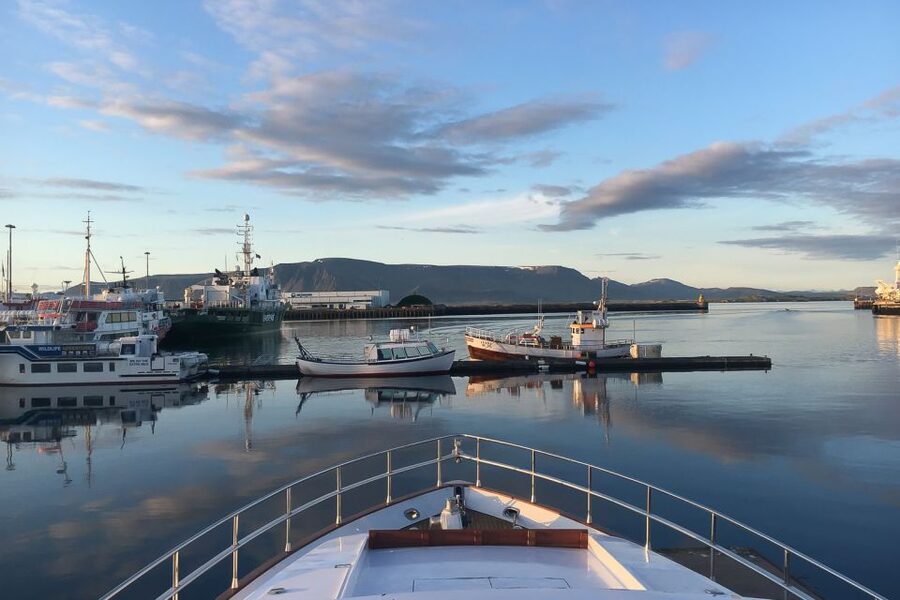 Reykjavik: Whale Watching and Dolphin Watching Yacht Cruise - What you may see in different seasons
