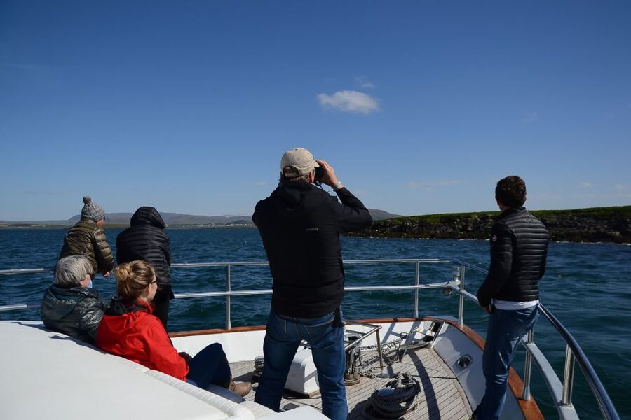 Reykjavik: Whale Watching and Dolphin Watching Yacht Cruise - Who will enjoy this yacht cruise most?