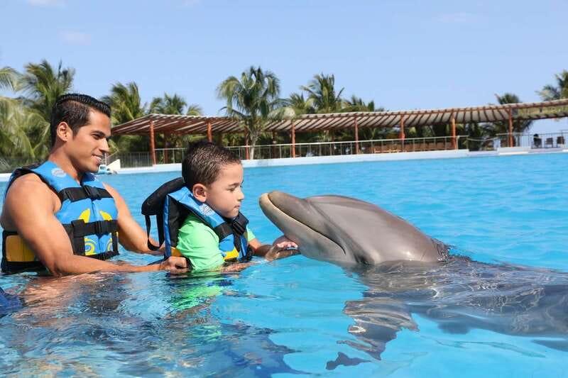 Riviera Maya: Dolphin Encounter with Beach Club Access - The Dolphin Encounter At Dolphin Discovery Maroma