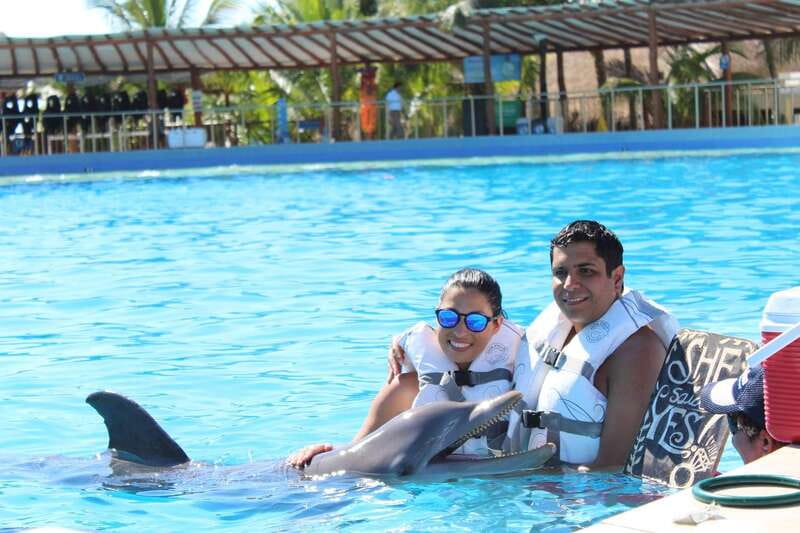 Riviera Maya: Dolphin Encounter with Beach Club Access - From Dolphin Discovery To Playa Maroma