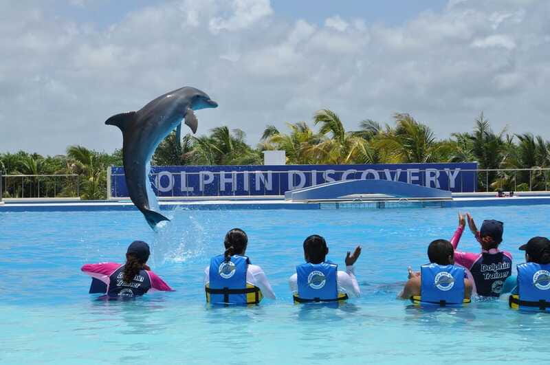 Riviera Maya: Dolphin Encounter with Beach Club Access - My Take On The Experience