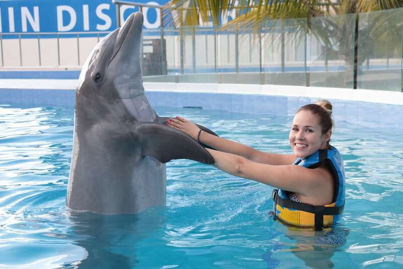 Riviera Maya: Dolphin Encounter with Beach Club Access - Should You Book It?