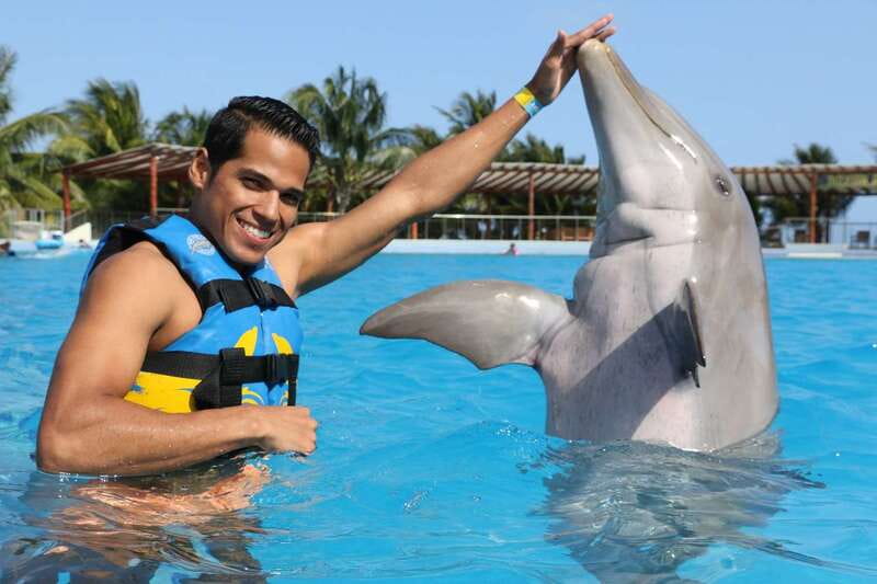 Riviera Maya: Dolphin Encounter with Beach Club Access - What The Water Session Feels Like