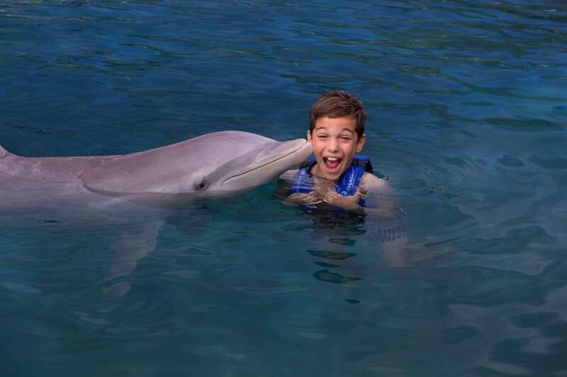 Riviera Maya: Swim with dolphins Interax - Key points to know before booking