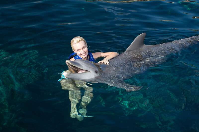 Riviera Maya: Swim with dolphins Interax - What the 45-minute dolphin session is really like