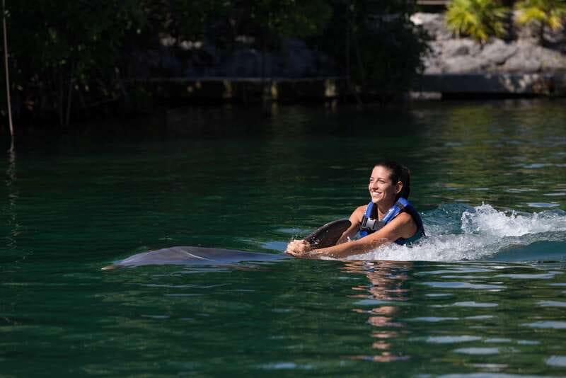 Riviera Maya: Swim with dolphins Interax - Fourteen activities, with learning mixed into the fun