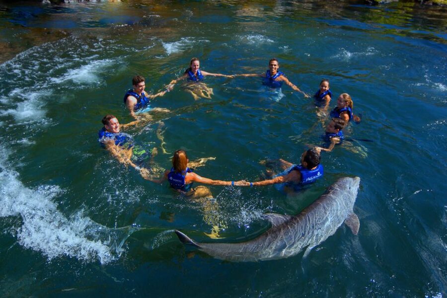 Riviera Maya: Swim with dolphins Interax - Getting to the habitat beside Xcaret