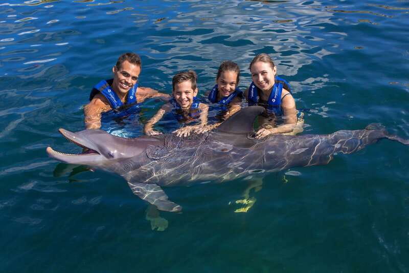 Riviera Maya: Swim with dolphins Primax - Key points to know before booking