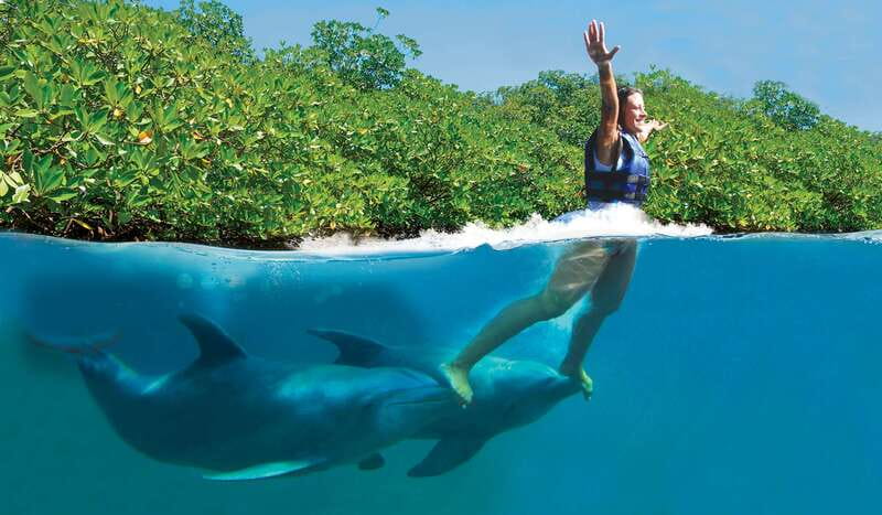 Riviera Maya: Swim with dolphins Primax - Forty-five minutes with the dolphins