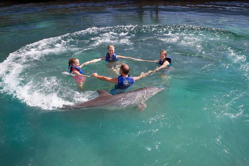 Riviera Maya: Swim with dolphins Primax - The final 15 minutes of dolphin snorkeling