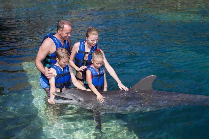 Riviera Maya: Swim with dolphins Primax - What the $197 price includes, and what it does not