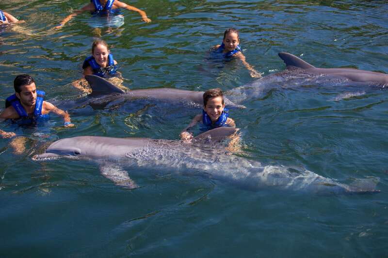 Riviera Maya: Swim with dolphins Primax - What to bring, and what must stay behind