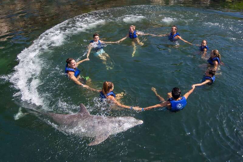 Riviera Maya: Swimming Experience with Dolphins - The biggest point of confusion: contact versus swimming