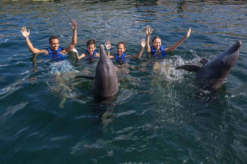 Riviera Maya: Swimming Experience with Dolphins - Is $127 a fair price?