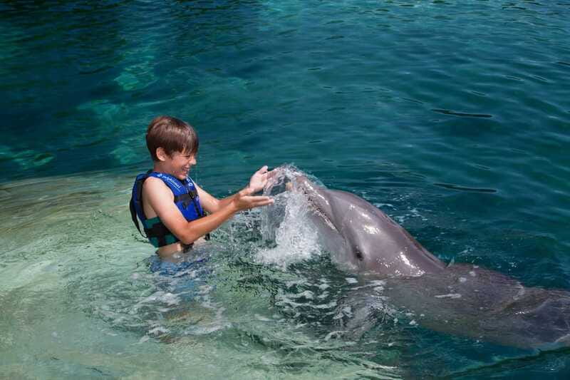 Riviera Maya: Swimming Experience with Dolphins - Practical details that can change your day