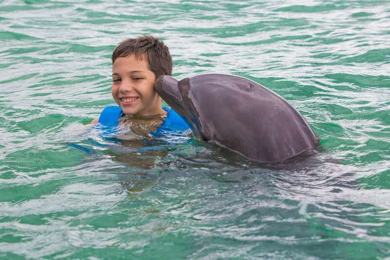 Riviera Maya: Swimming Experience with Dolphins - How this compares with the memory you may be expecting