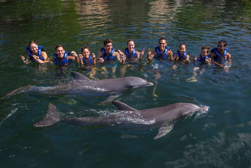 Riviera Maya: Swimming Experience with Dolphins - FAQ