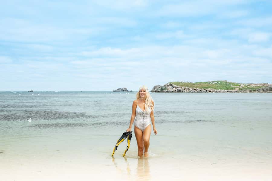 Rockingham: Shoalwater Islands, Dolphins, and Sea Lions Tour - Commentary from the crew adds real value