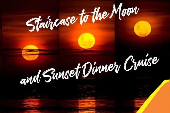 Roebuck Bay Sunset & Snubfin Dolphin Cruise - What the marine biologist adds