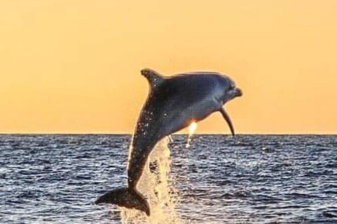Romantic Boat Trip with Dolphin Watching - What the two-hour route gives you