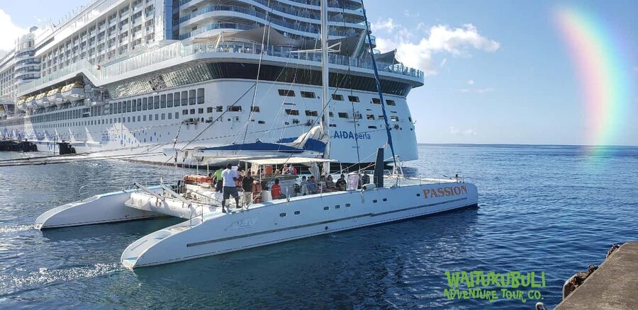 Roseau: Guided Dolphin and Whale Watching Tour With Drinks - Drinks, shade, and the small extras