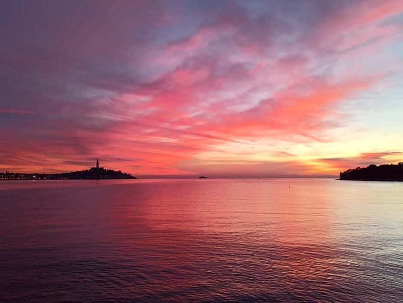 Rovinj: Dolphin Watching Sunset Speedboat Tour with Drinks - Booking details that matter