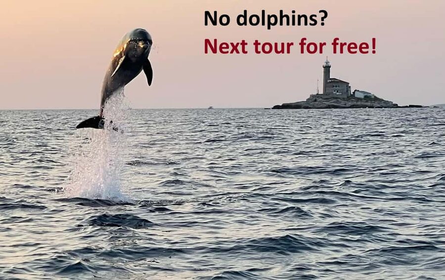 Rovinj: Dolphin Watching Sunset Speedboat Tour with Drinks - Cruising past Rovinj’s old town