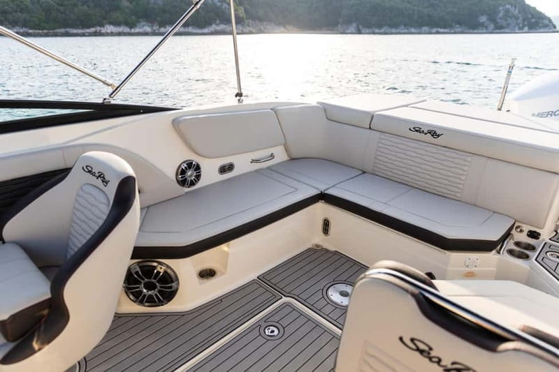 Rovinj: Dolphin Watching Sunset Speedboat Tour with Drinks - Who will enjoy this most?