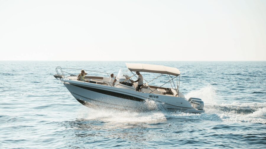 Rovinj: Family Friendly Dolphin Watching Tour - Meeting the dolphins in open water