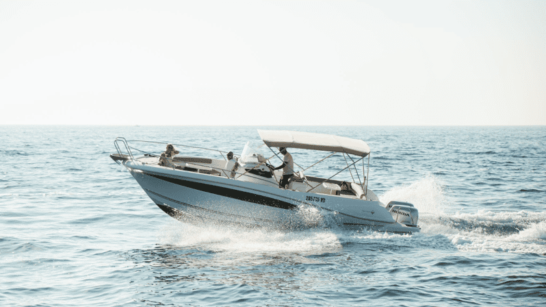 Rovinj: Family Friendly Dolphin Watching Tour - Who will enjoy this most?