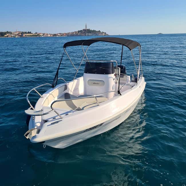 Rovinj: Shared Dolphin and Sunset Tour with Drinks - Booking flexibility for changing plans
