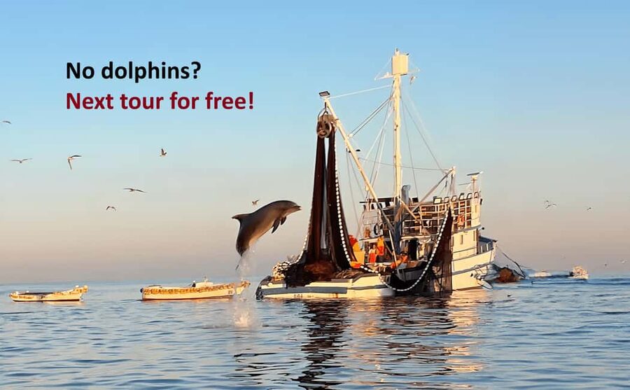 Rovinj: Sunrise Dolphins & Fishermen at Work Speedboat Tour - Watching dolphins beside the nets