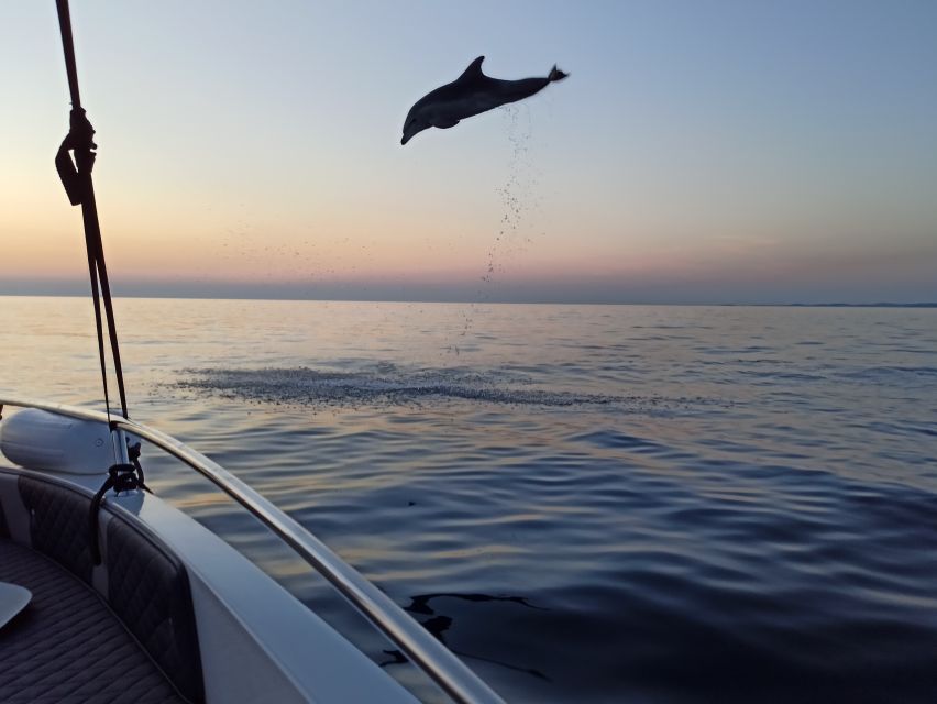 Rovinj: Sunrise Dolphins & Fishermen at Work Speedboat Tour - The fishermen are part of the experience