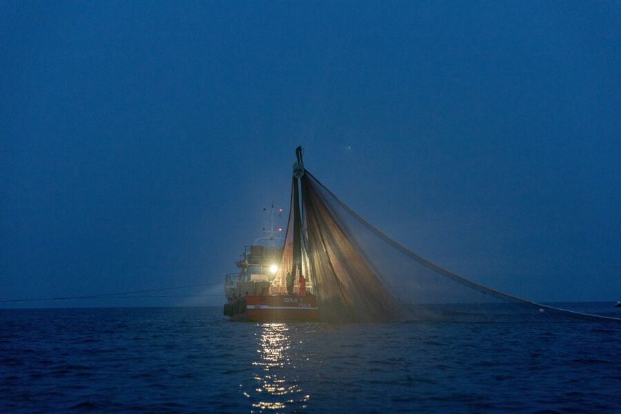Rovinj: Sunrise Dolphins & Fishermen at Work Speedboat Tour - Returning with Rovinj in view