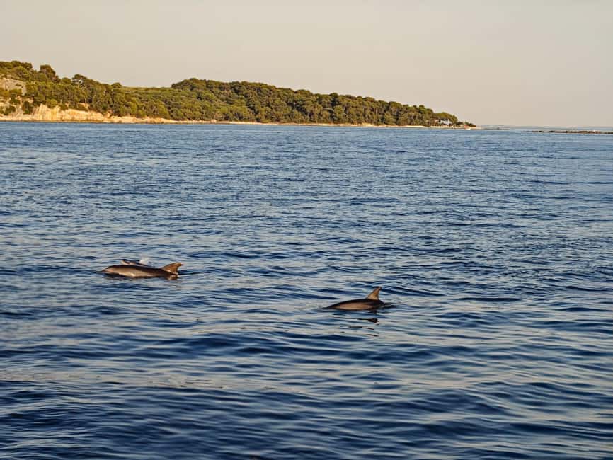 Rovinj: Sunset & dolphin group tours with Catamaran - Sunset over the Old Town and harbour
