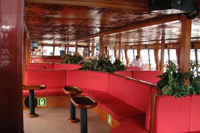 Royal Delfin - 2Hour Sustainable Dolphin & Whale Watching Mini Cruise - Is $36.20 good value?