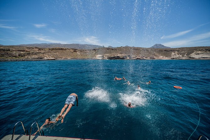 Royal Delfin 3H Dolphin & Whale Watching! Swimming & Lunch! - How crowded can the boat feel?