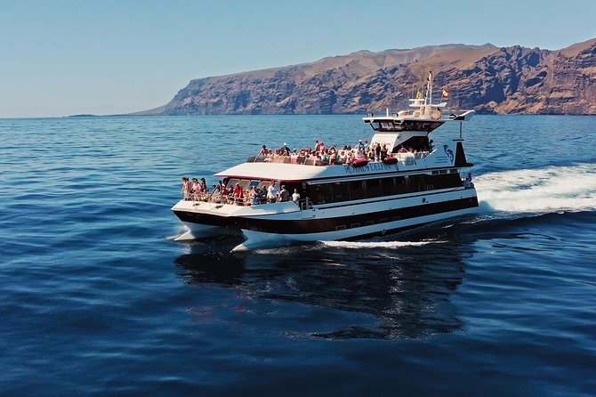 Royal Delfin - 4'5H Dolphin & Whale Watching - Los Gigantes Masca - Lunch & Swim - Setting off from Puerto Colón at 2 pm