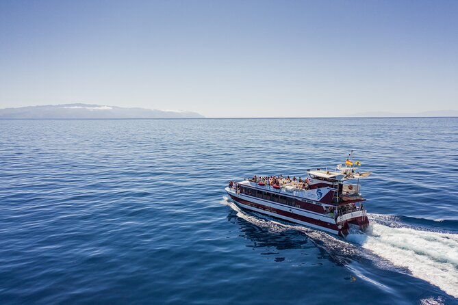 Royal Delfin - 4'5H Dolphin & Whale Watching - Los Gigantes Masca - Lunch & Swim - What the underwater windows add